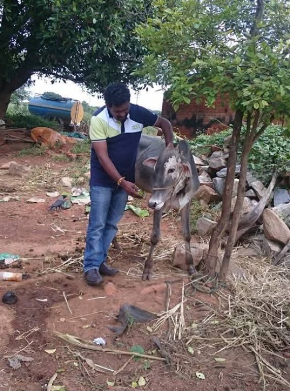 WhatsApp Image 2025-10-28 at 10.51.14_ceb7559b